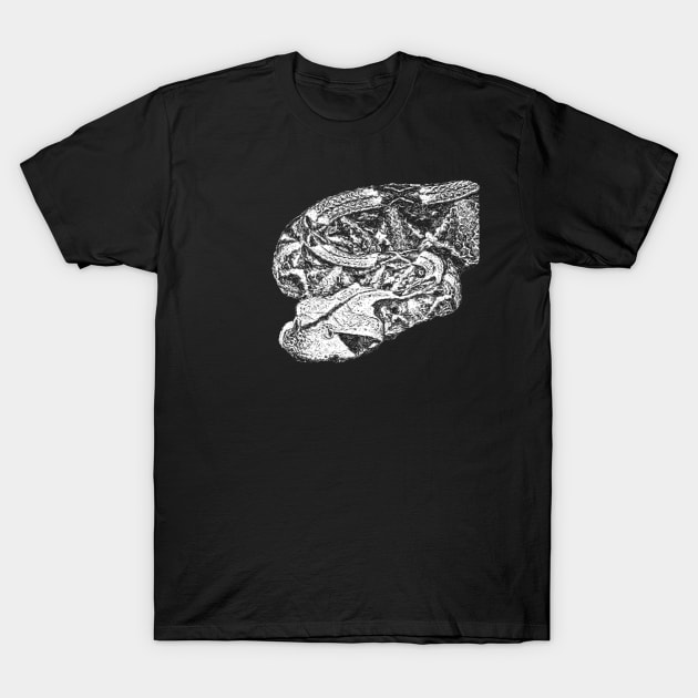 Gaboon viper T-Shirt by Guardi